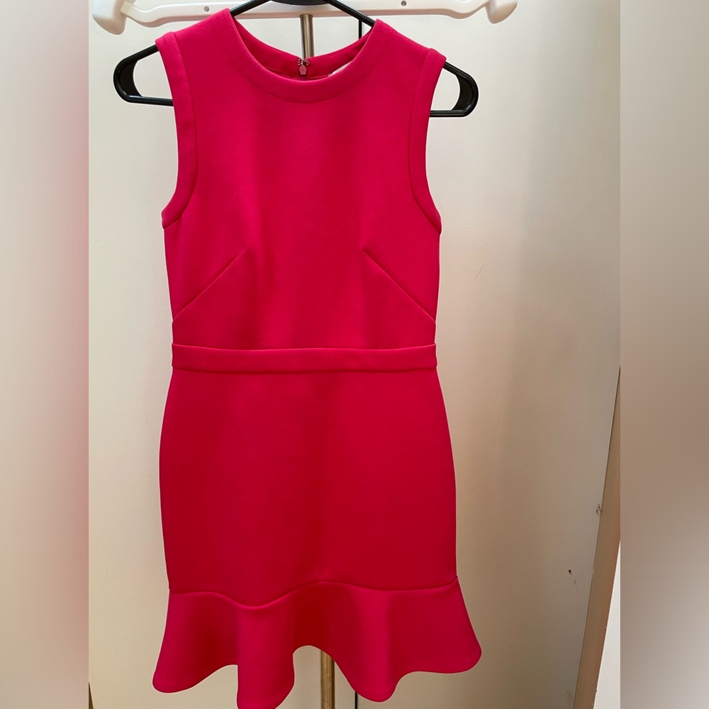 Adorable Ann Taylor Ruffle Mini Dress - Fuchshia